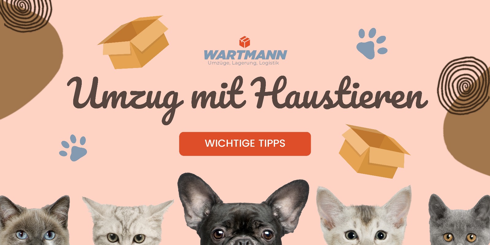Stressfreier Umzug mit Haustieren: Die besten Tipps für einen entspannten Haustierumzug